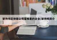 邹传伟区块链公司是哪里的企业[邹传明简介]