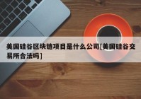 美国硅谷区块链项目是什么公司[美国硅谷交易所合法吗]