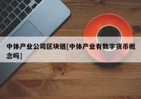 中体产业公司区块链[中体产业有数字货币概念吗]