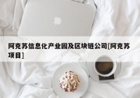 阿克苏信息化产业园及区块链公司[阿克苏 项目]