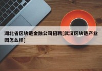 湖北省区块链金融公司招聘[武汉区块链产业园怎么样]