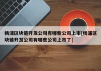 杨浦区块链开发公司有哪些公司上市[杨浦区块链开发公司有哪些公司上市了]